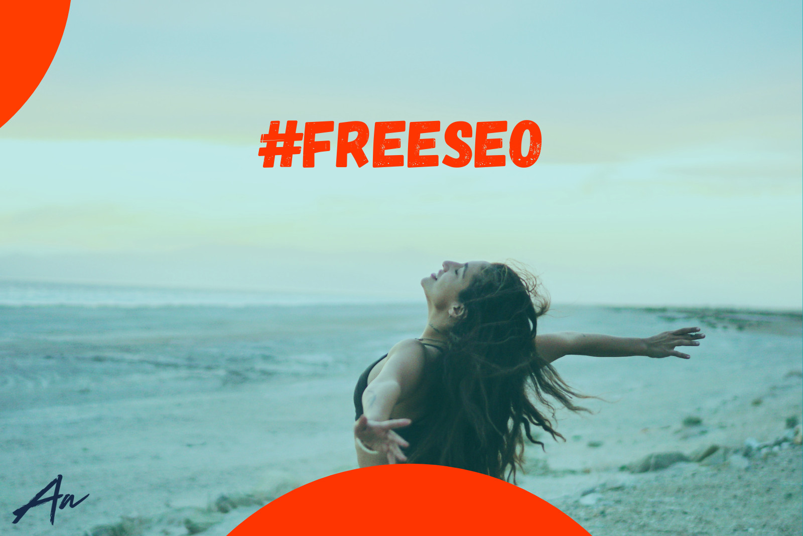 Realitatea SEO Gratuit: No Bullshit Guide